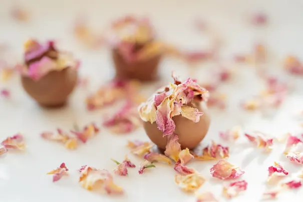 Casino Bella Vegas Aip Android/iOS